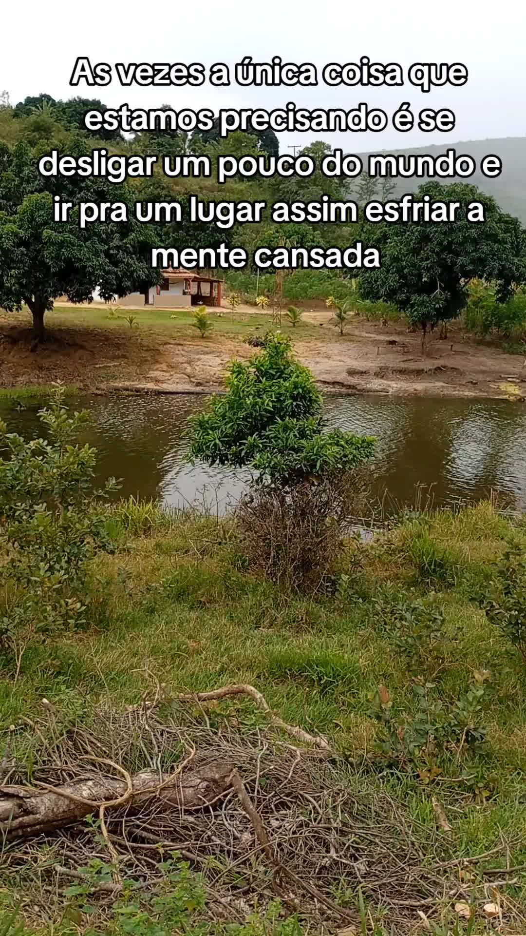 @Roça 🤠🌱