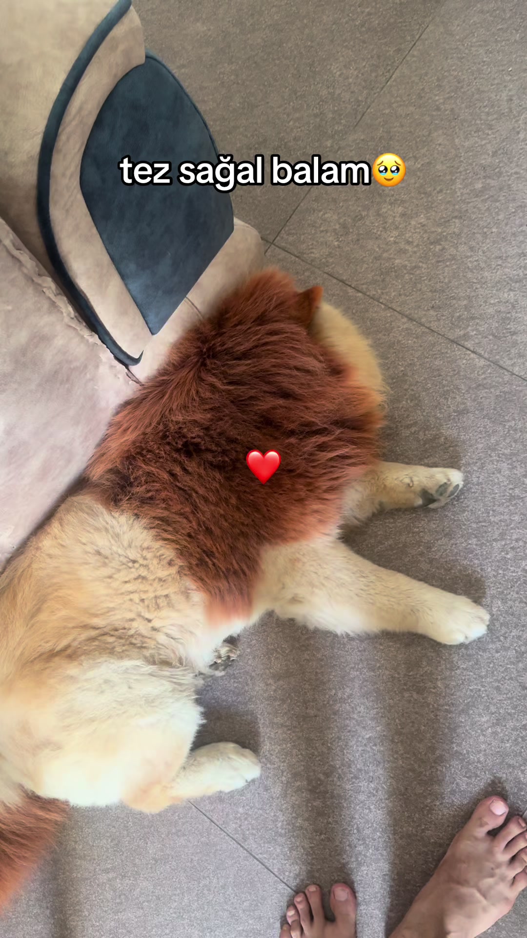 @tobi_bakılı