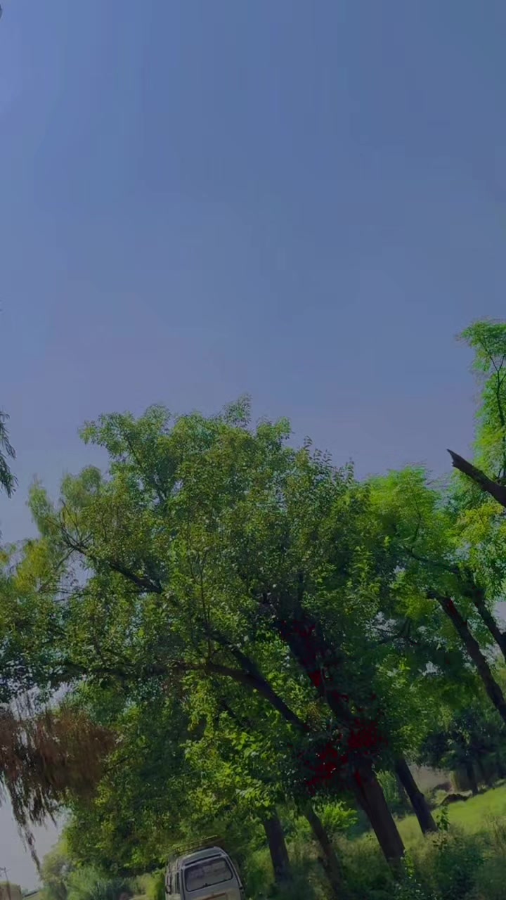 @🦅 ‼️ 𝑫𝑷𝑶 𝑻𝒂𝒍ح𝒂  ‼️ 🦅