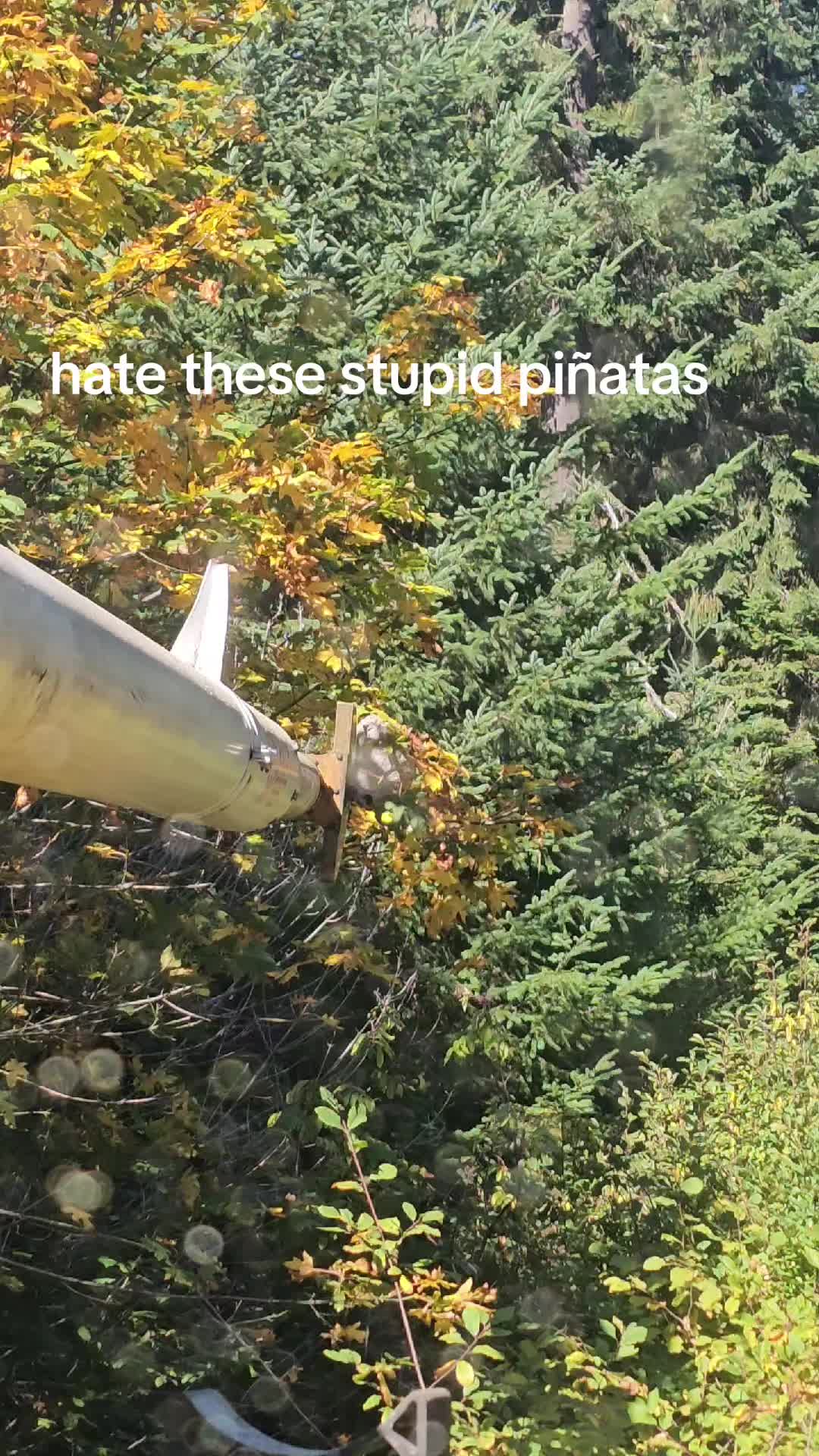 @Justin_87