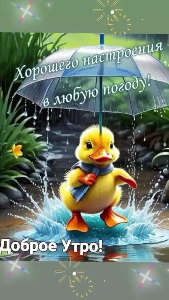 @Дракоша