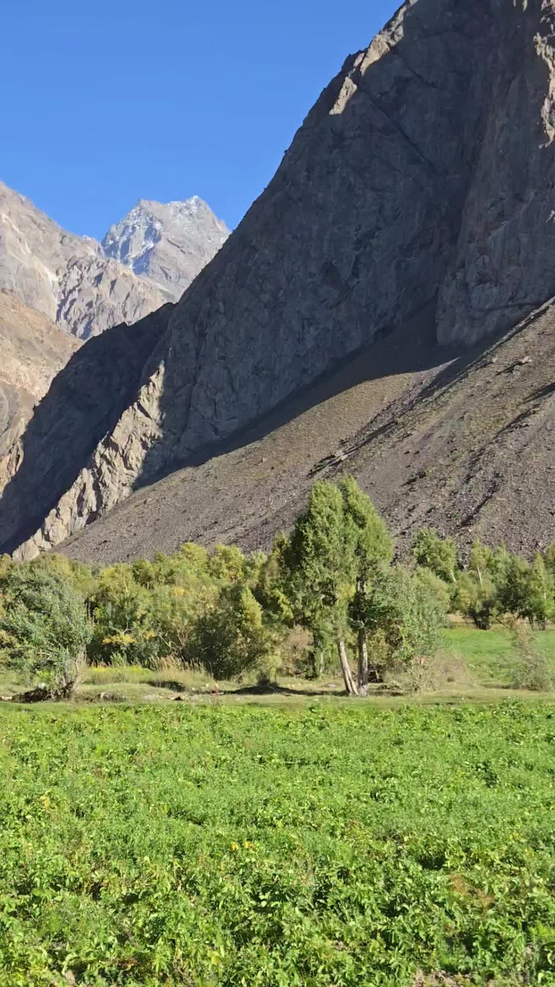 @qashqar