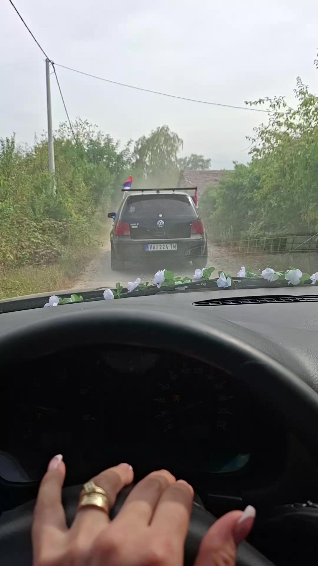 @Sladjana Gajic Nikolic