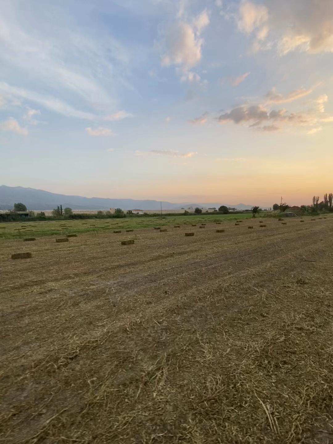 @Hüseyin Burak