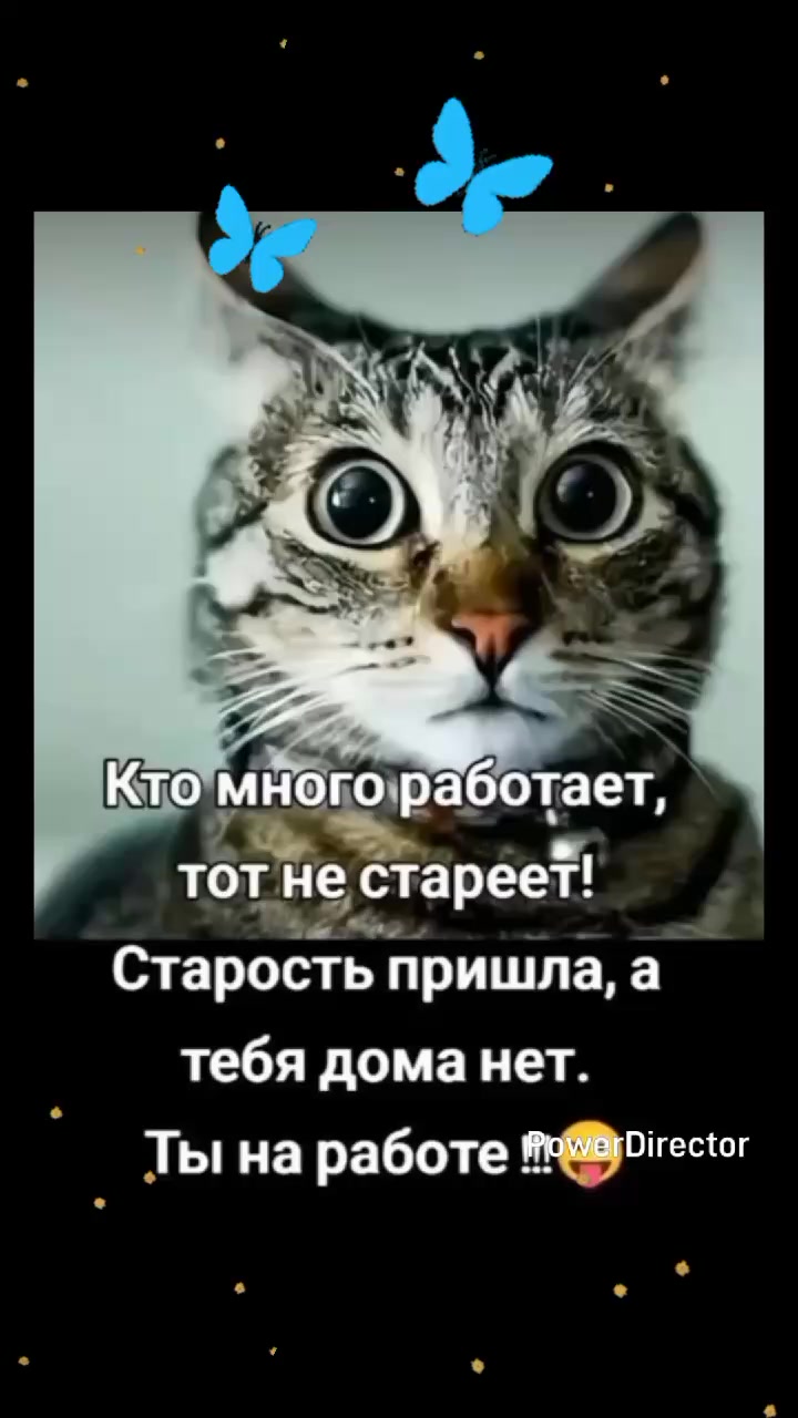 @user25256083356