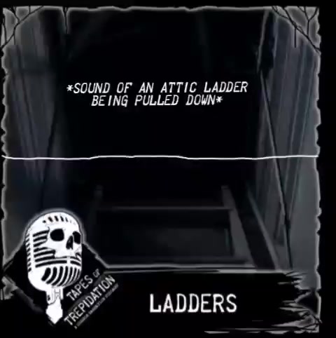 @Tapes of Trepidation💀🎙🇨🇦