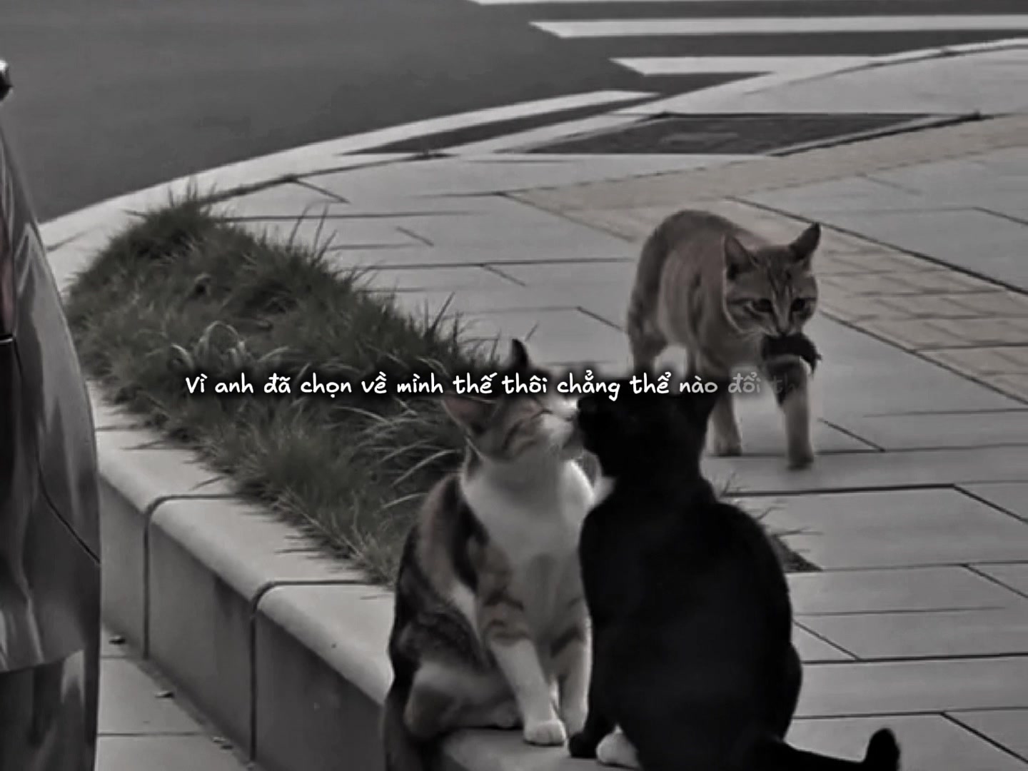 @22ᴛʜ08ᥫ᭡