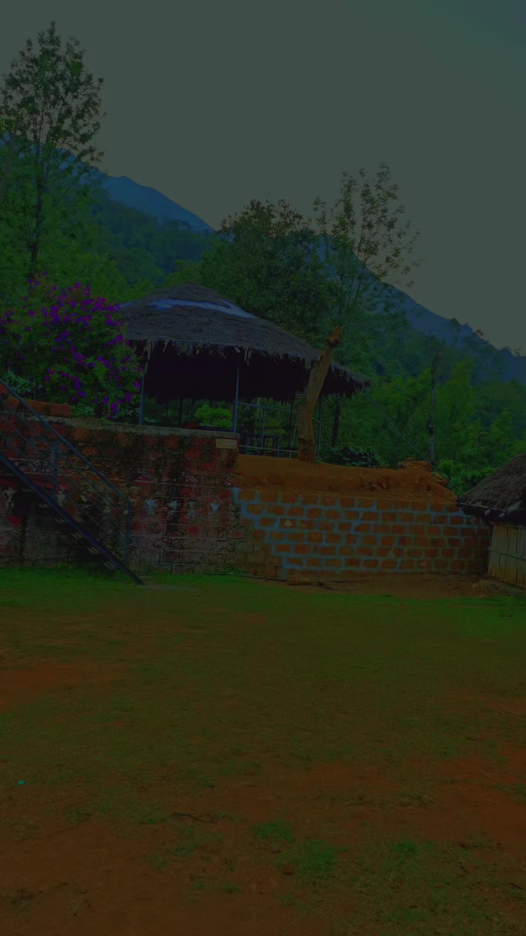 @shameer