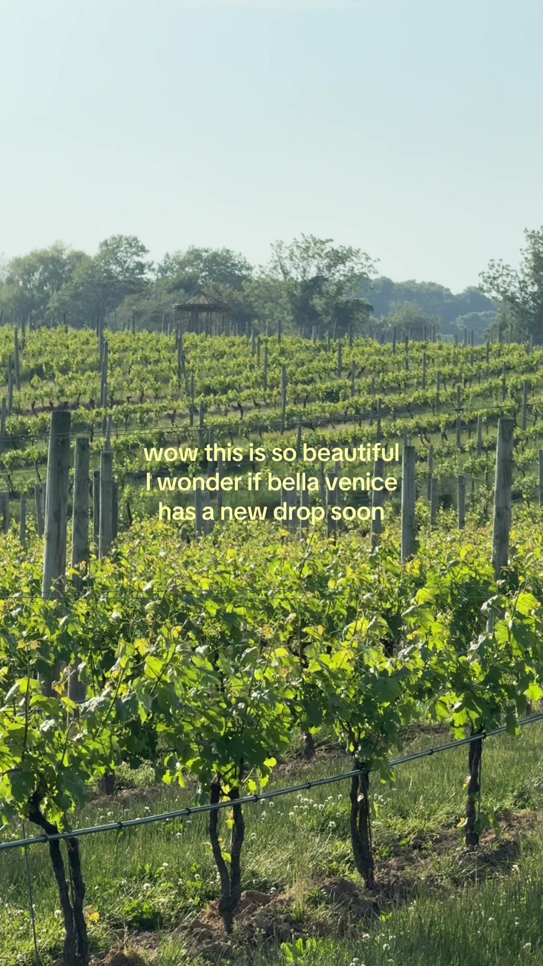 @bella.venice