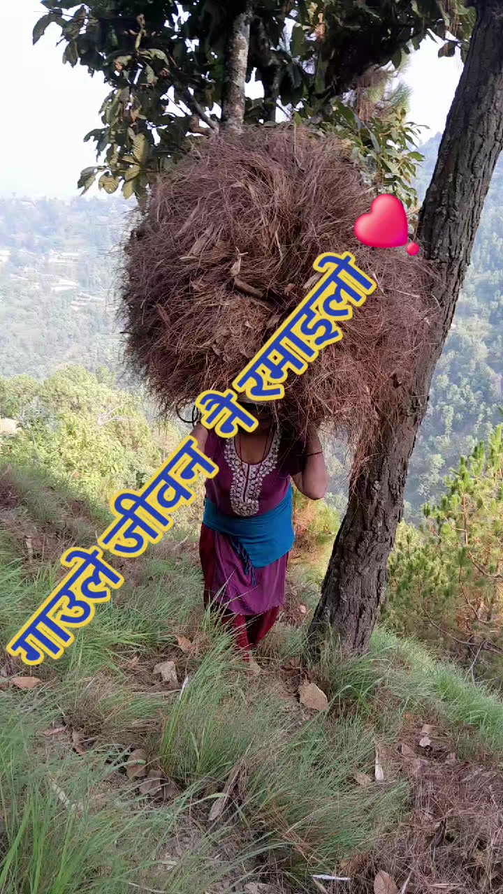 @Dhana Neupane