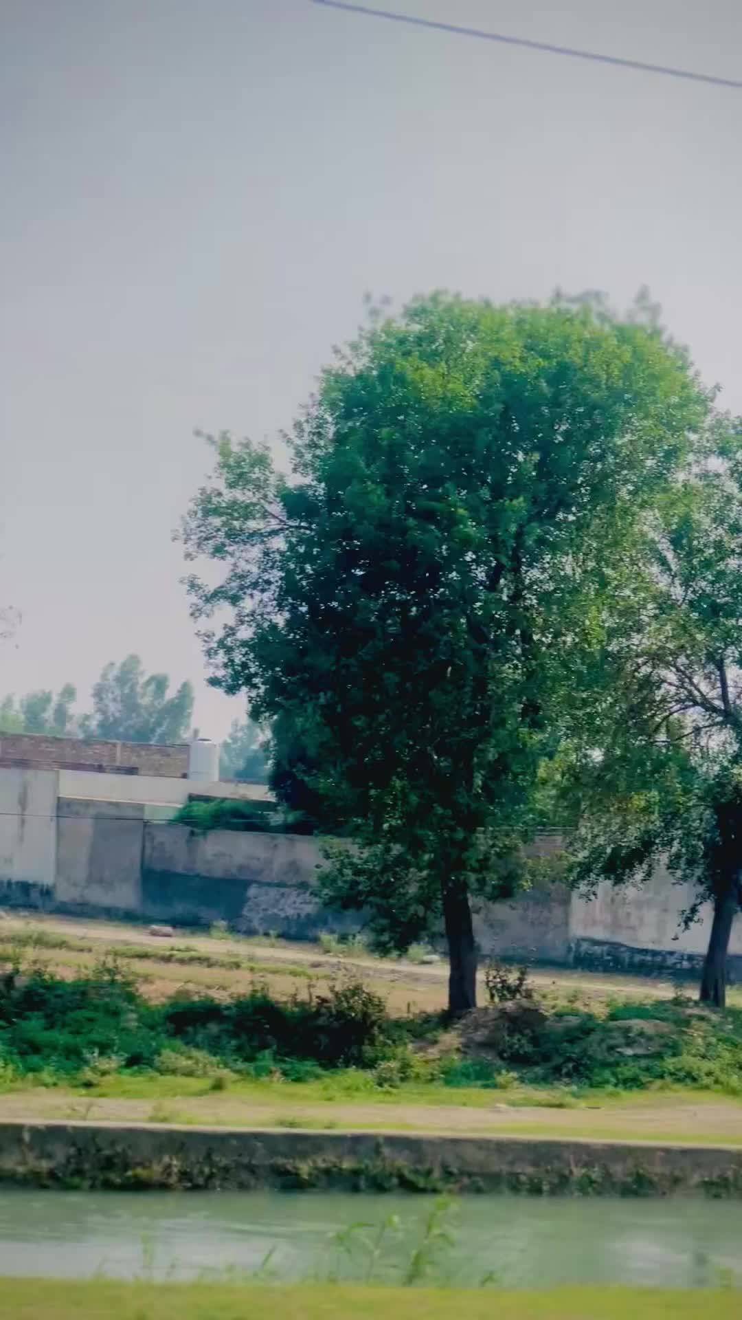 @🦋PRINCE of SWABI 🦋