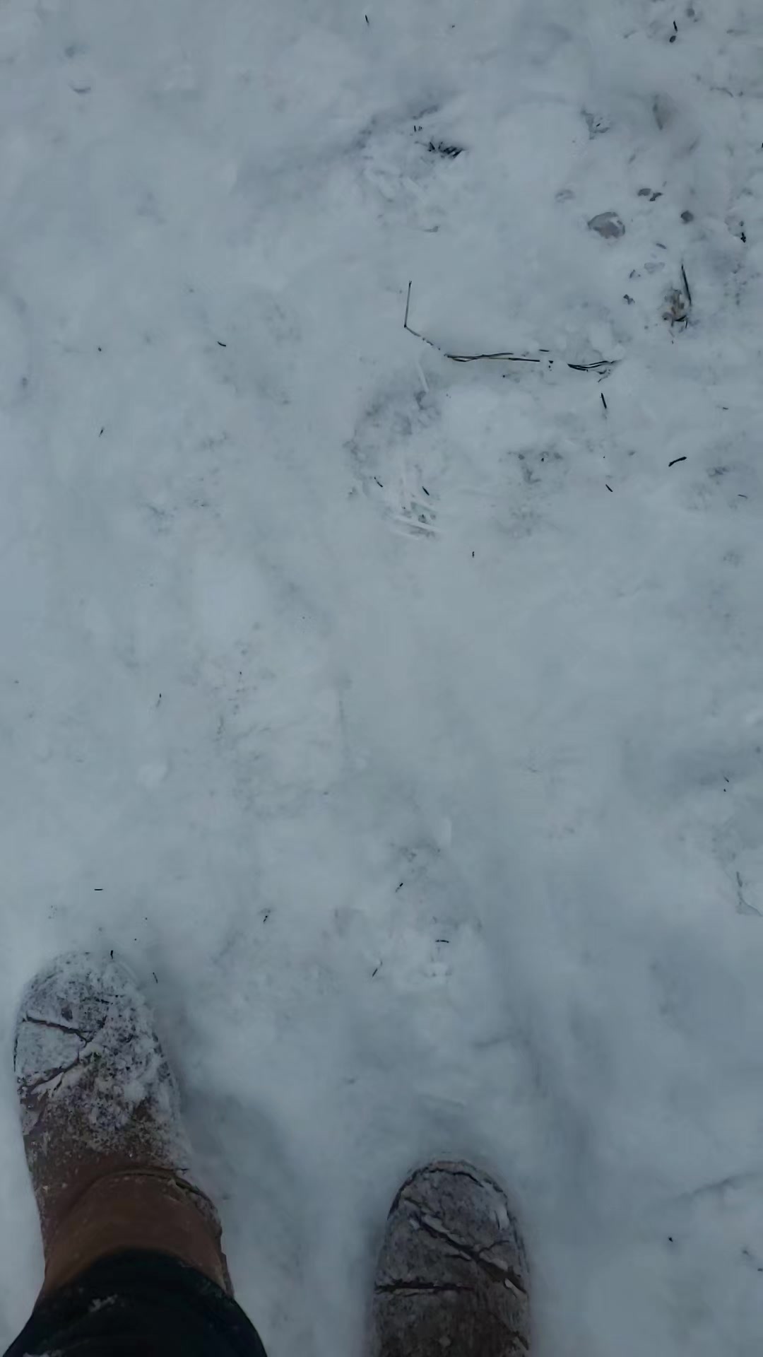@jukka