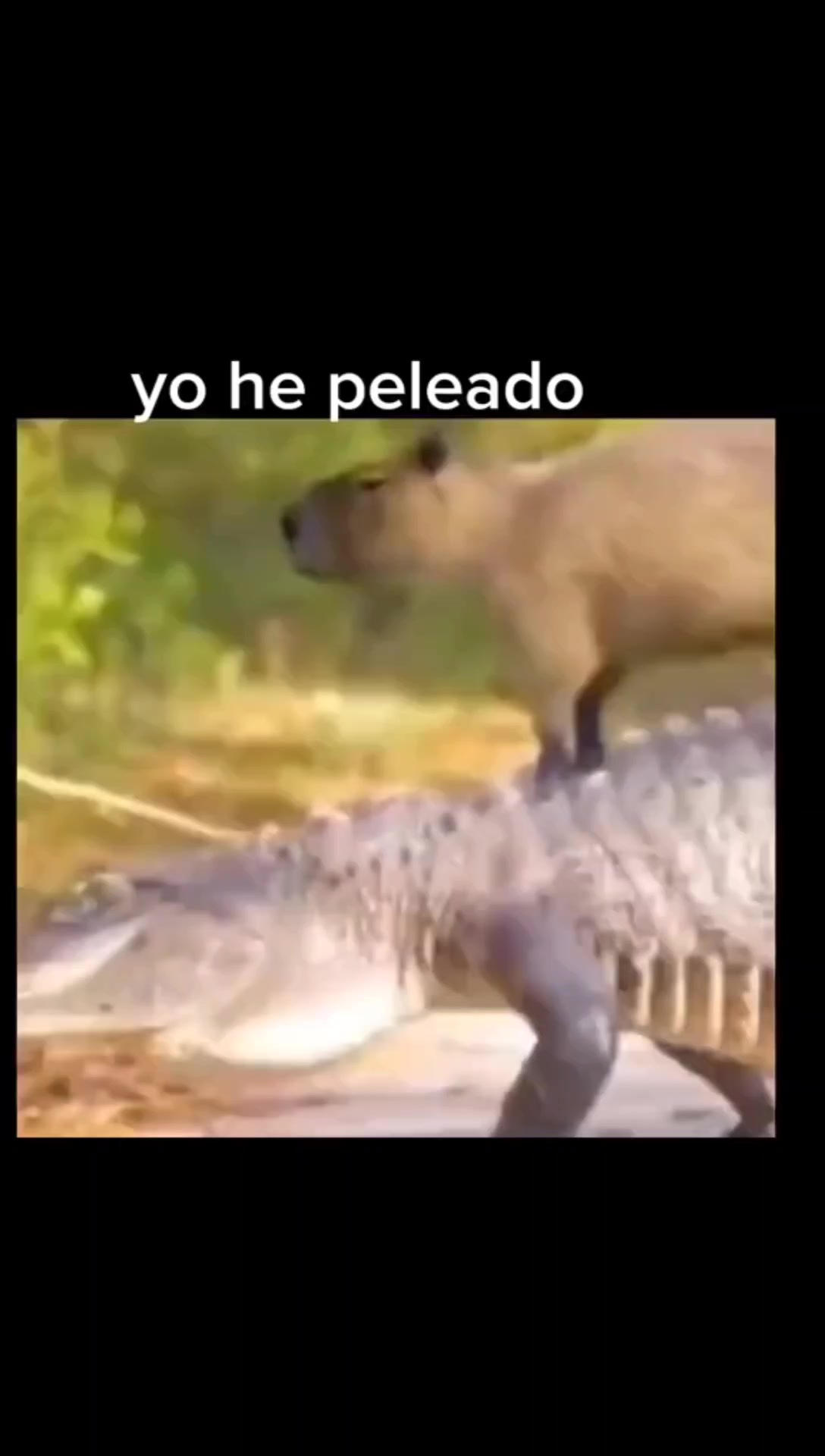 @sh!790