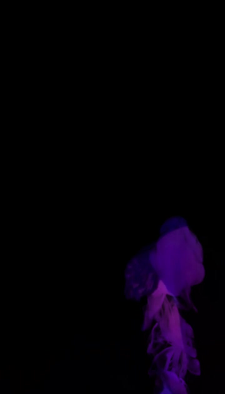 @Backwoodsbabecb