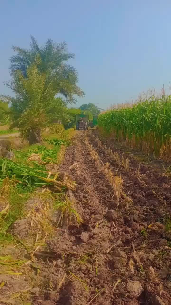 @naya Pakistan