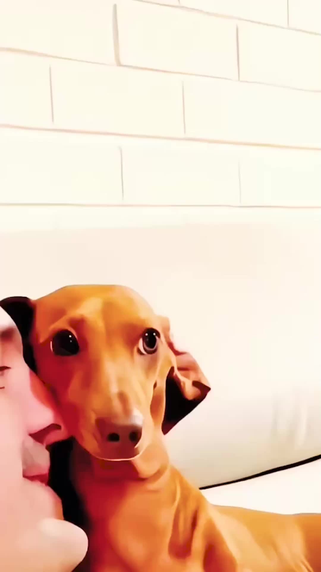 @smile6s