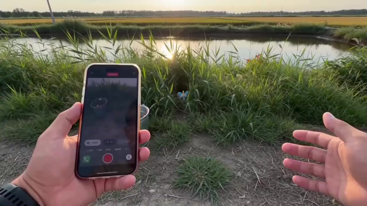 @Золотистый