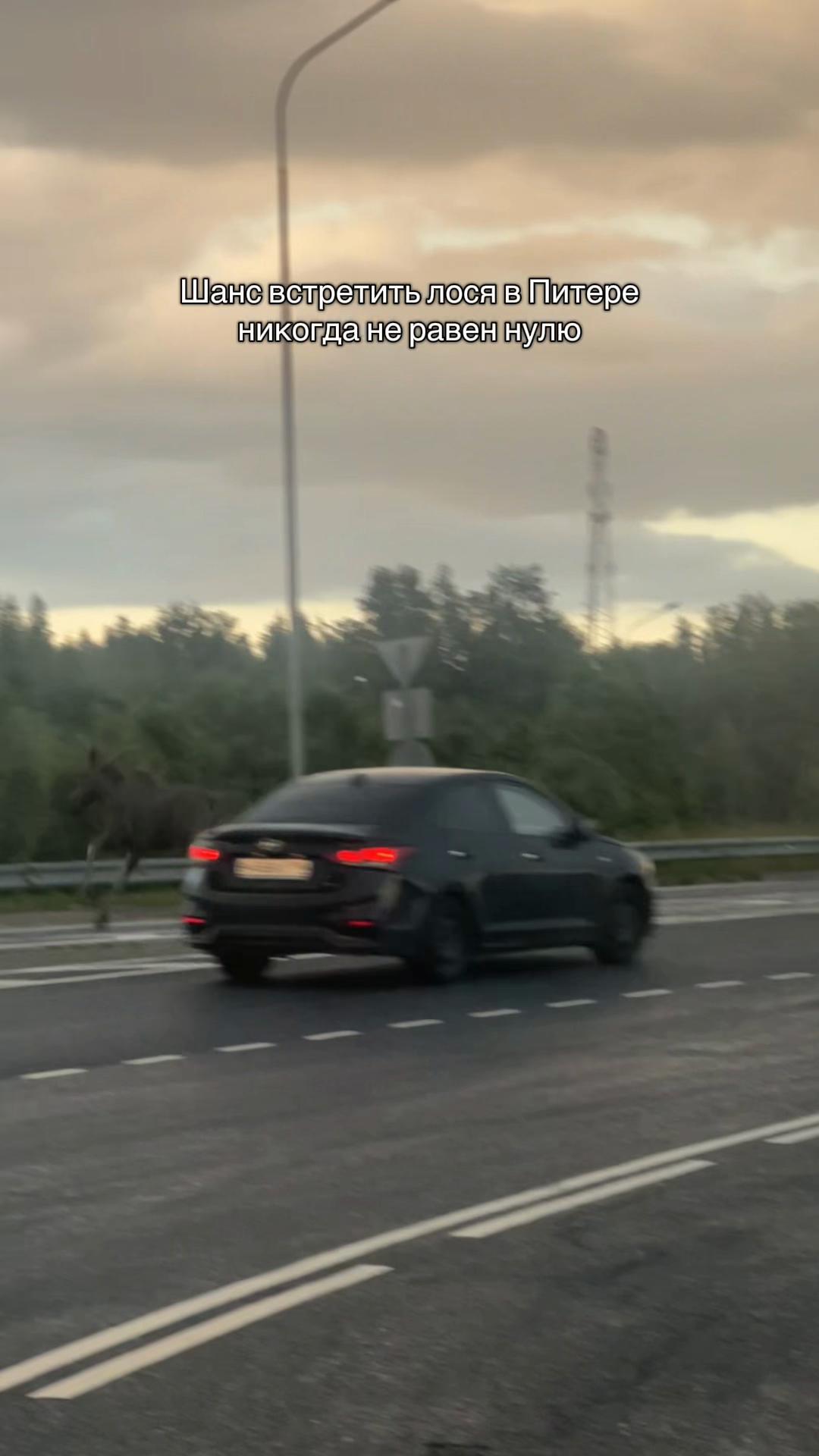@сиюша