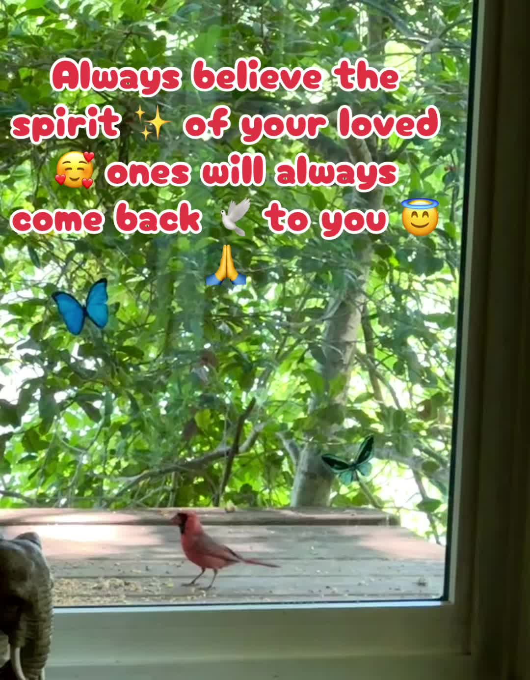 @E🌹