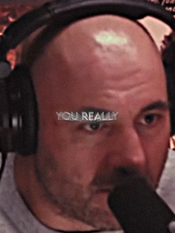 @Podcast.clips.daily
