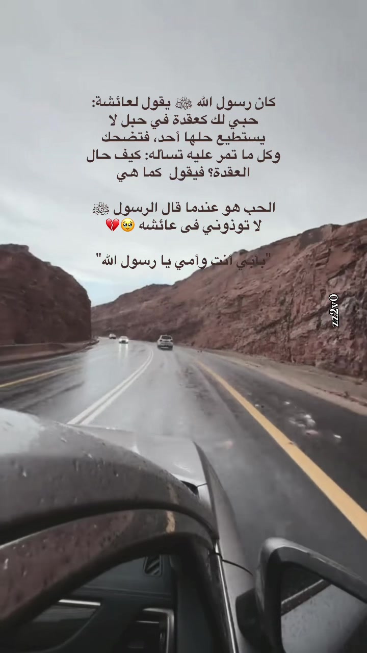 @sar91