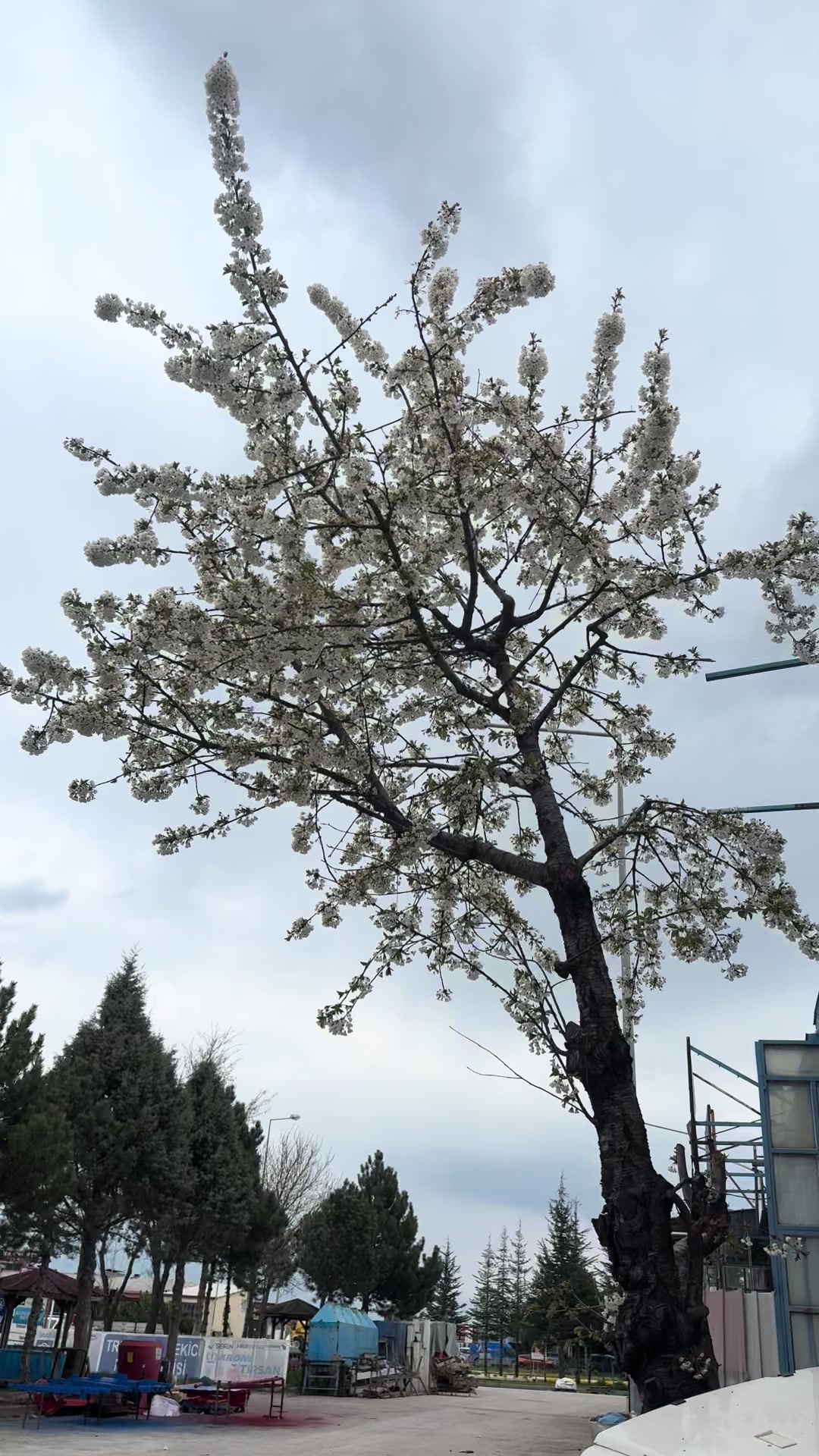 @Yaşar Ağır Vasıta