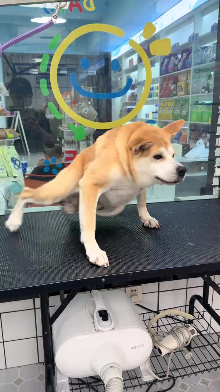 @🇲🇽MAYOREO QIHUO MÉXICO🇲🇽
