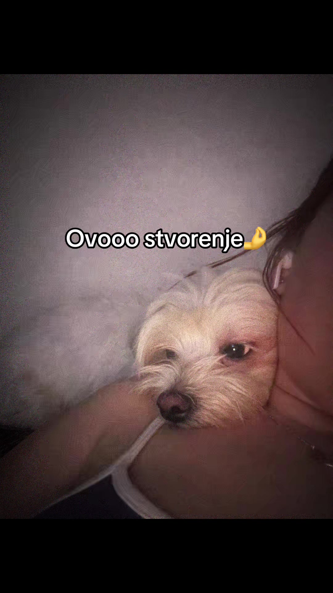 @Ale🍓