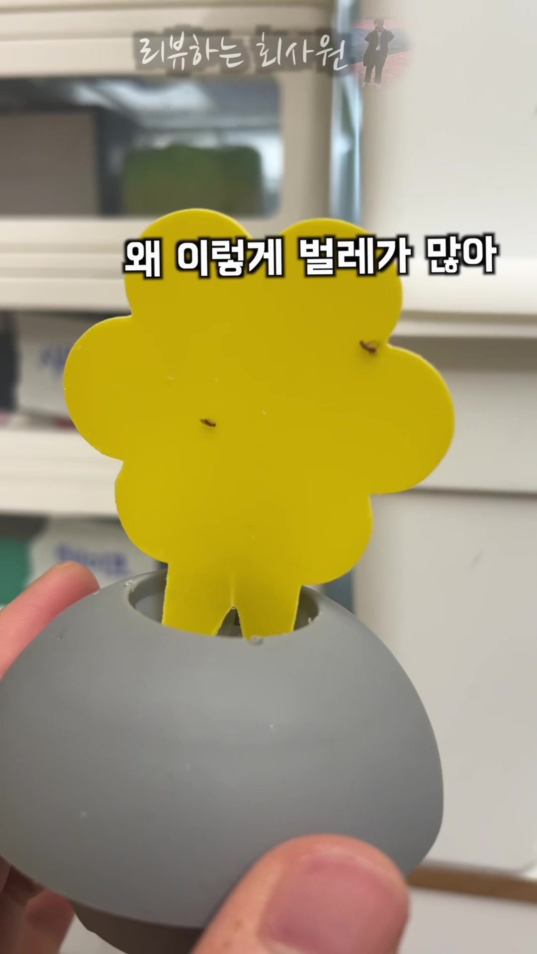 @리뷰하는회사원