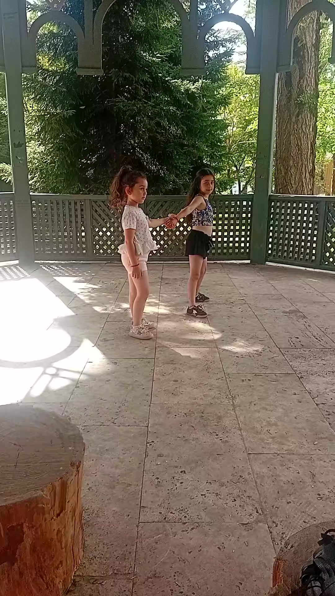 @დალი ვეკუა