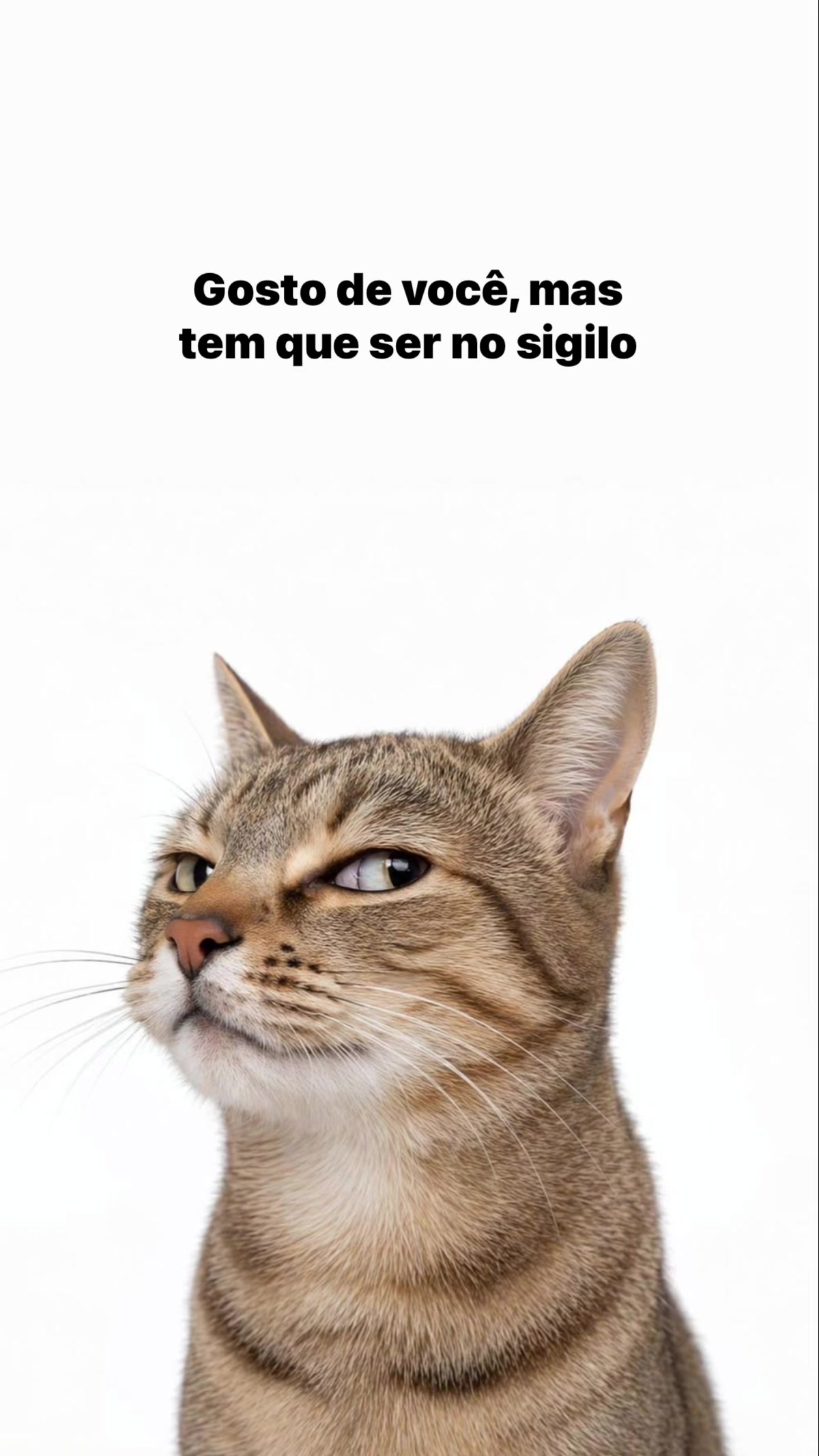 @user1606
