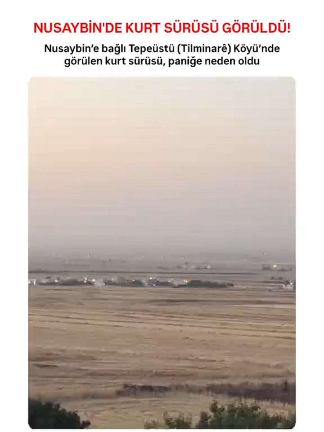 @Nusaybin Tanıtım