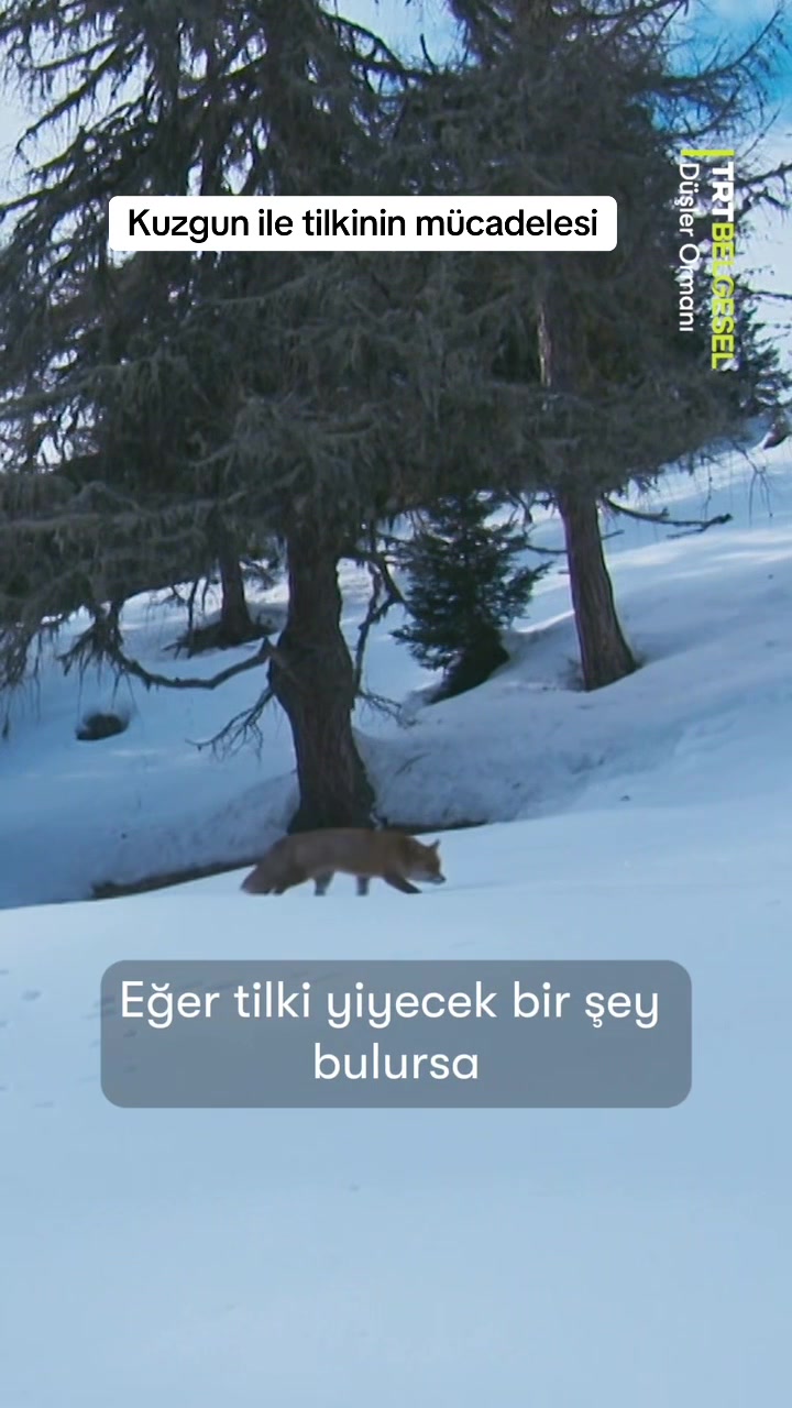 @TRT Belgesel