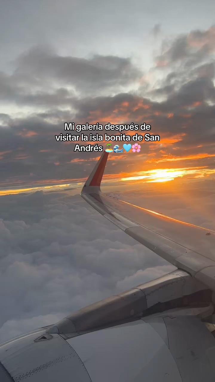 @Annarango23
