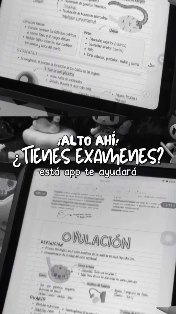 @samxnthastudy