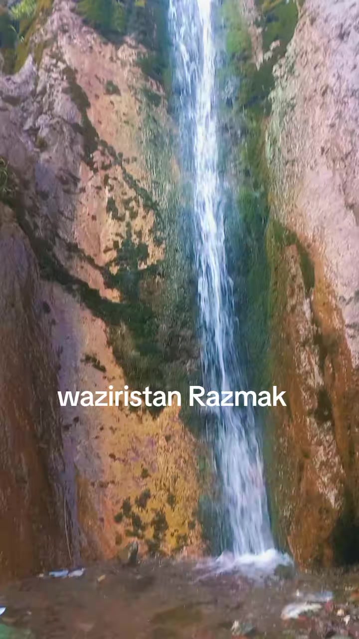 @سیاج وزیر