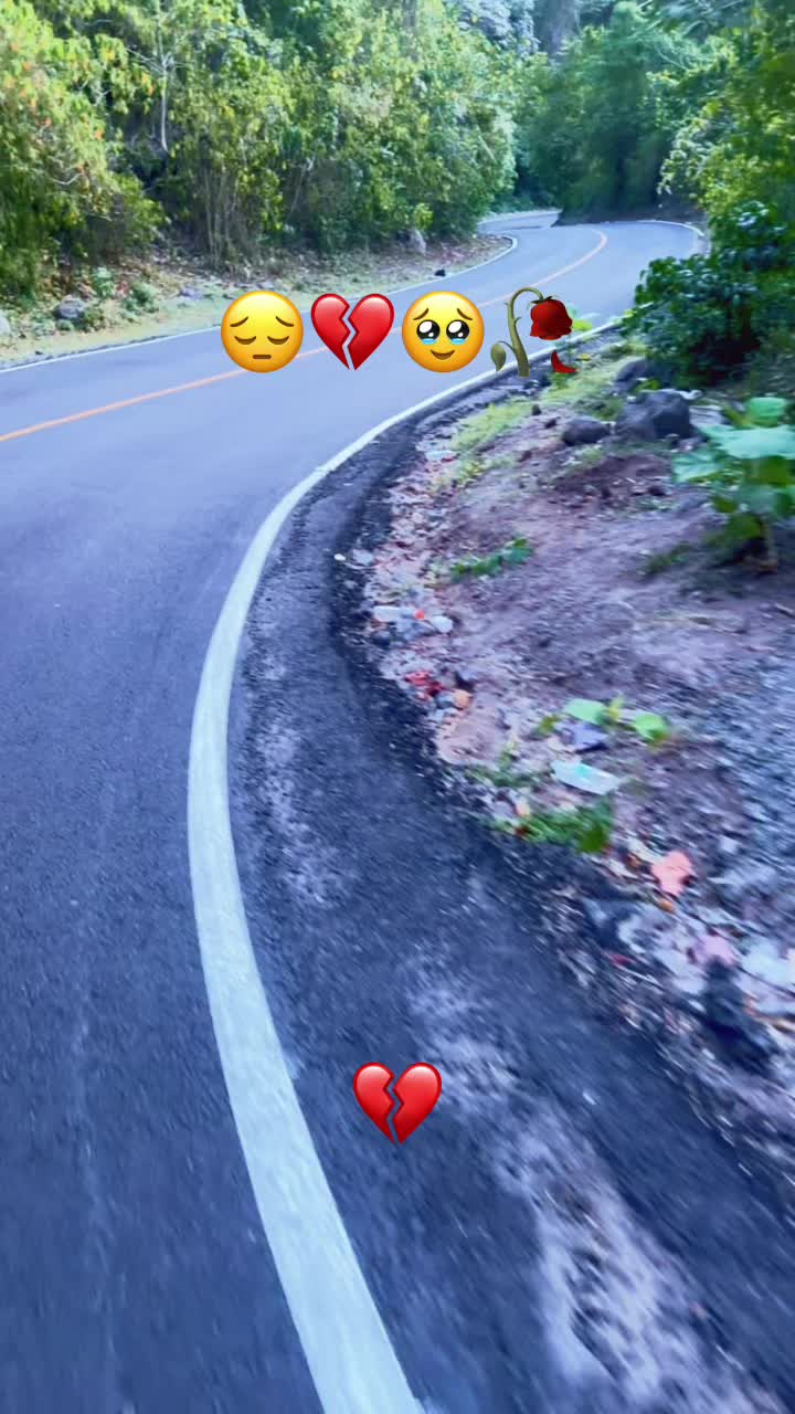 @guadalupetursios8