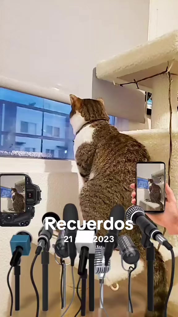 @Karen Castellanos