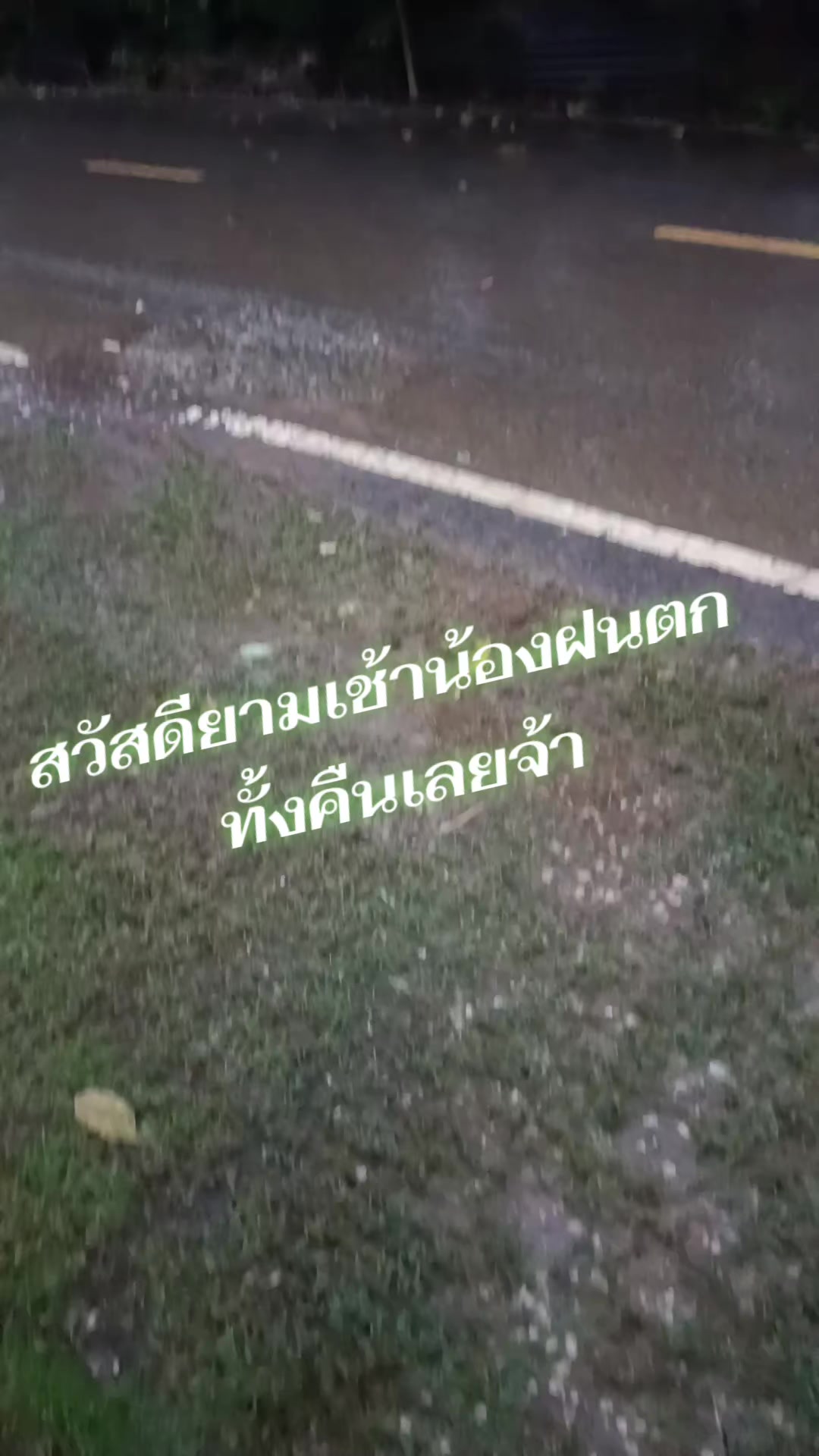 @pranee