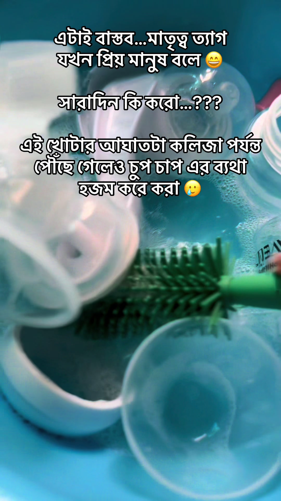 @O-rin đĻ đī¸