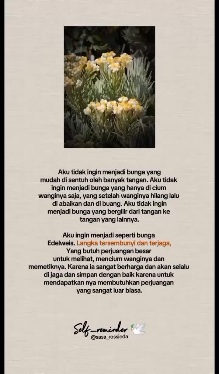 @Self_reminder🕊️