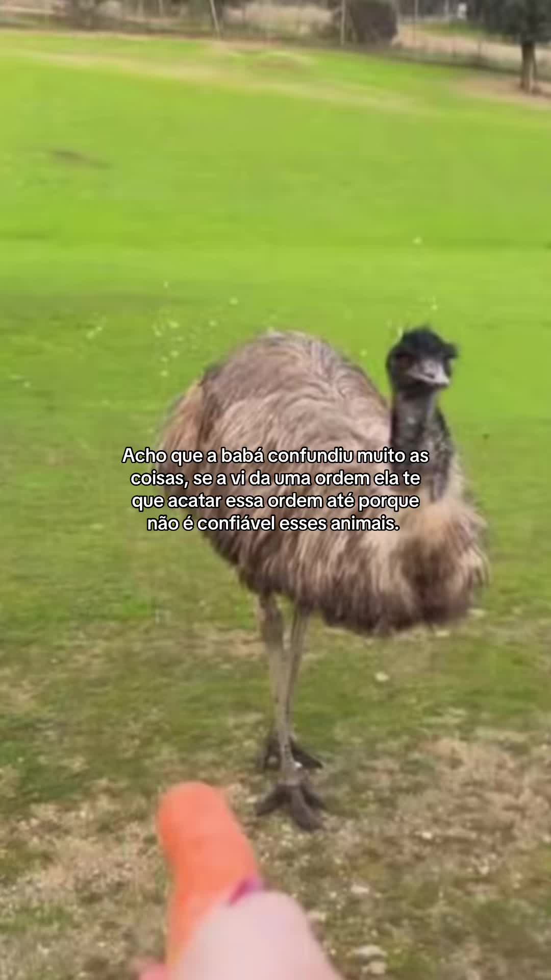 @clarast5