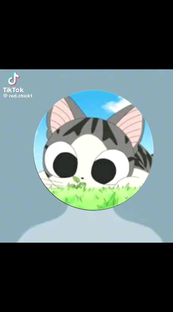 @dgnafox friend kitty world