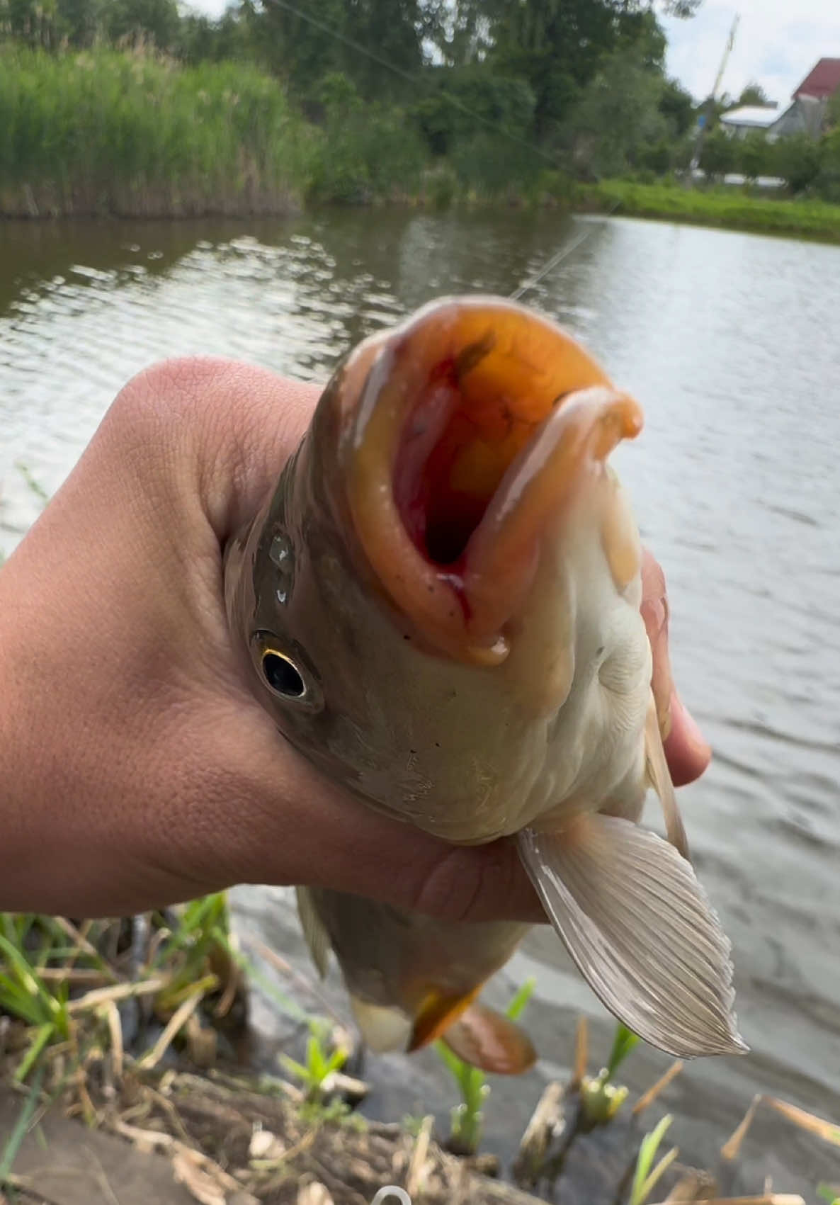 @𝗧𝗚.𝗗𝗬𝗫𝗙𝗜𝗦𝗛🎣