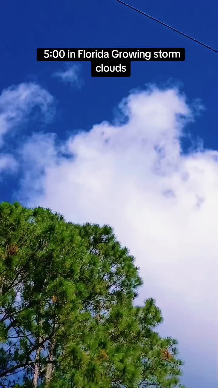 @Antonio Tropical Green Tornado