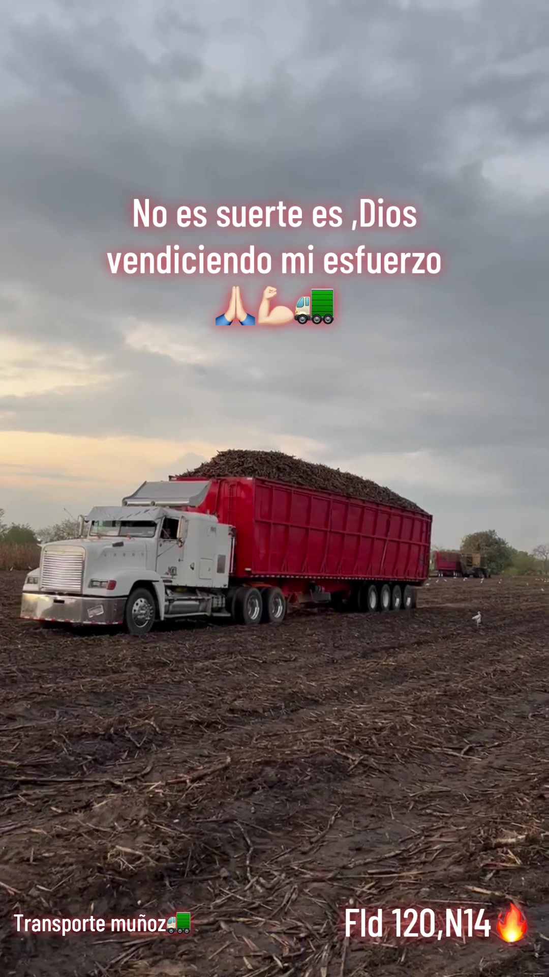 @el pana 🦥