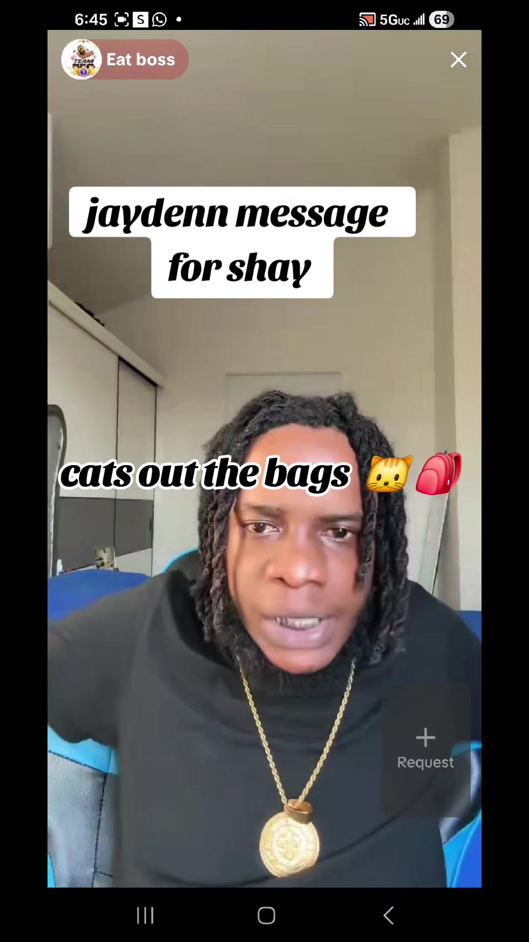 @cats out  the bags 🐱🐱🐱🐱🐱