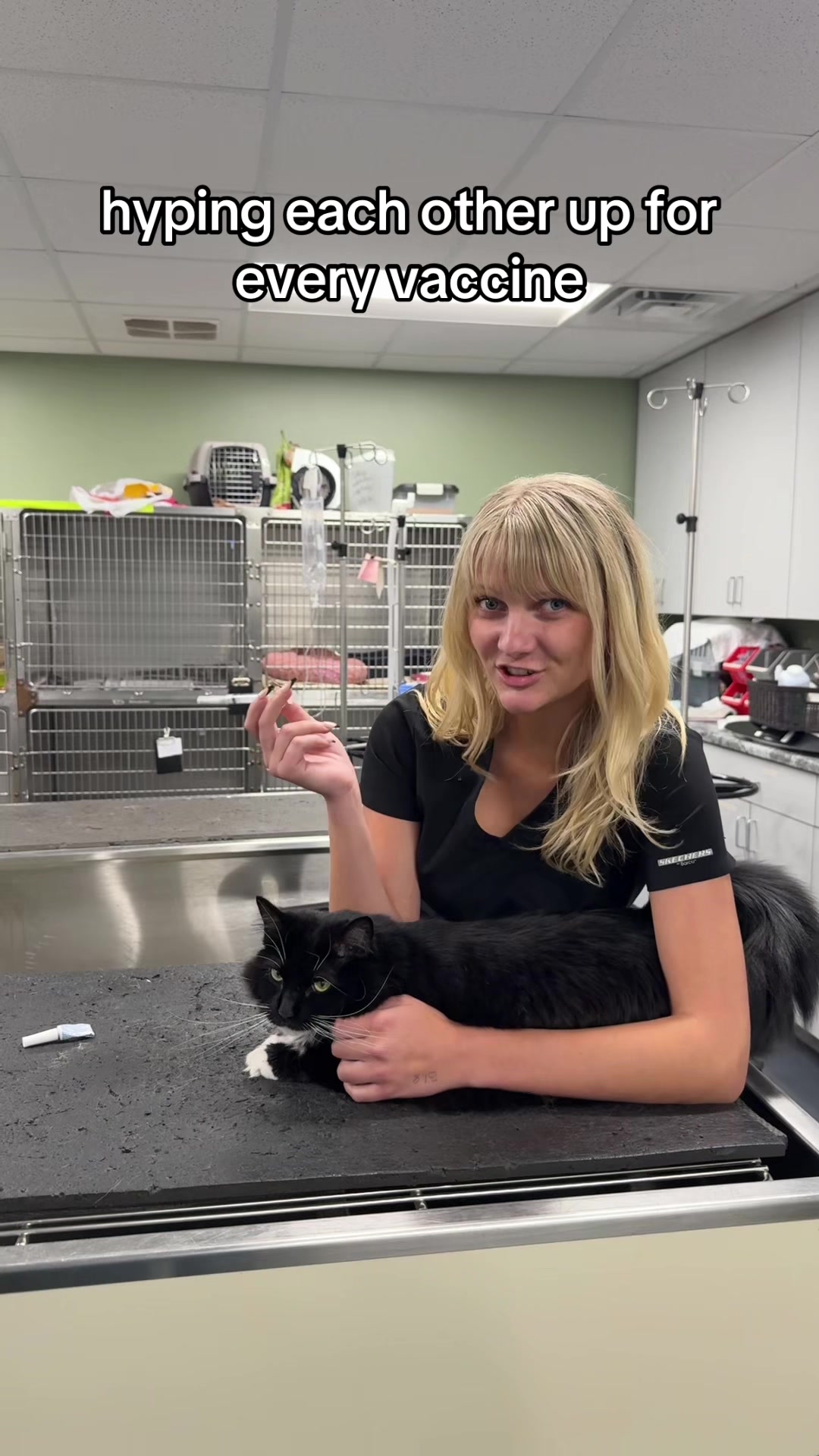 @Triangle Vet