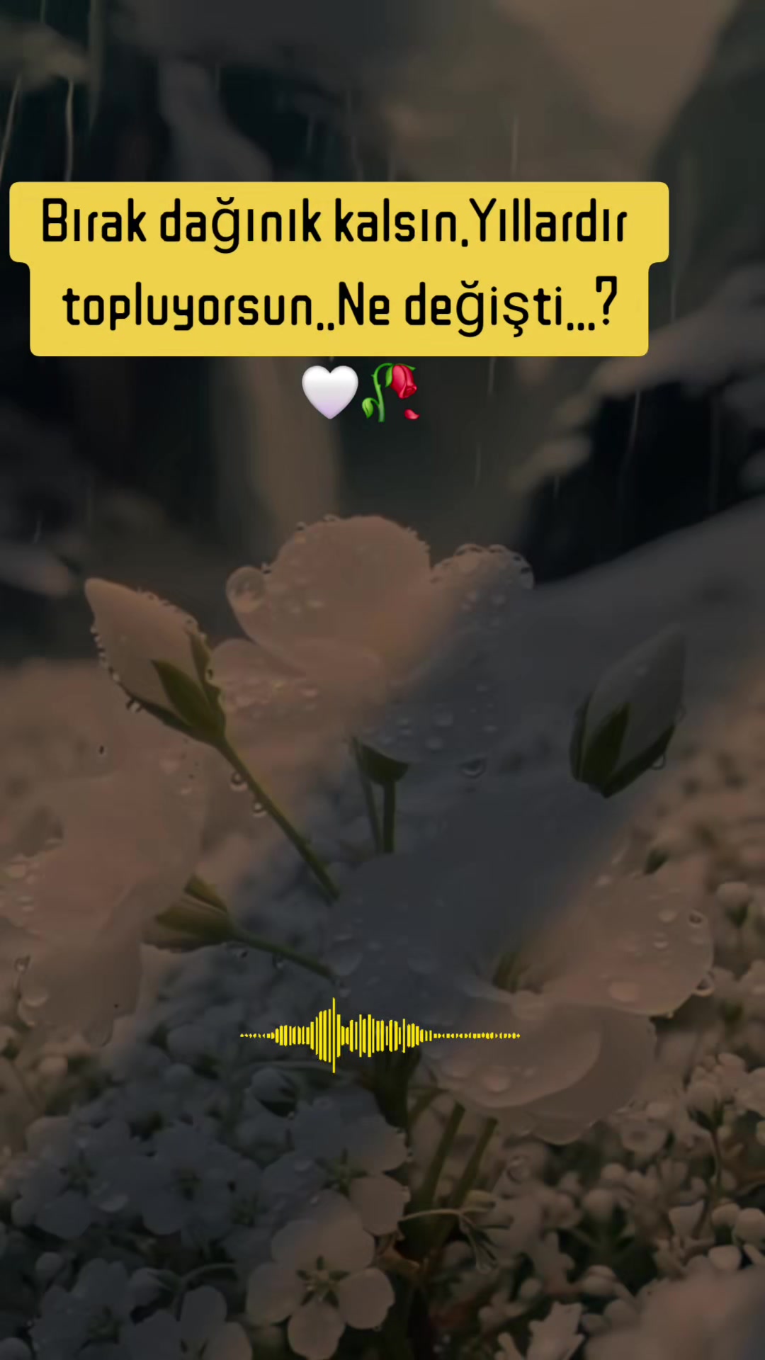 @🖤AĞIR SÖZLER🖤