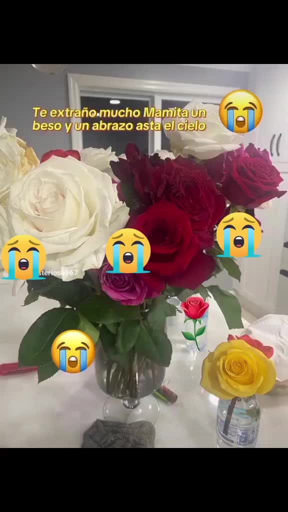 @Patricia Maldonado